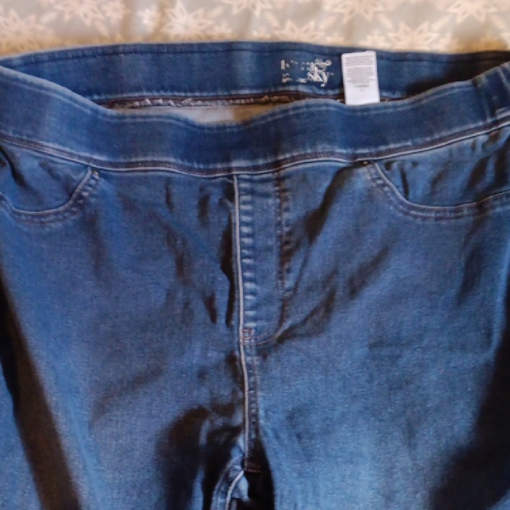 Terra & Sky Women's Dark Blue Jeggings